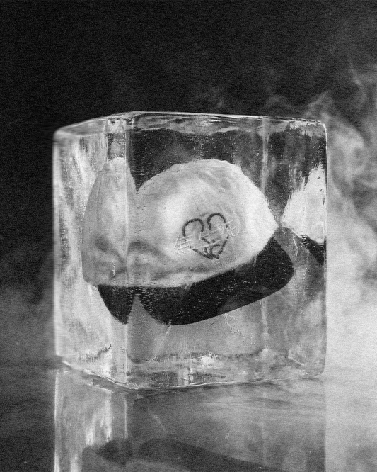 no birth no death III